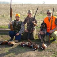 Blue Tick Pheasant Hunter