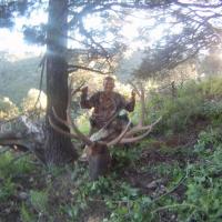 Elk Hunter