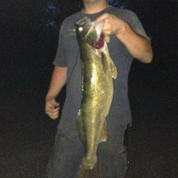 11.5 Pound Walleye