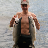 Two Big Sockeye Salmon