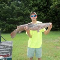 Catfish