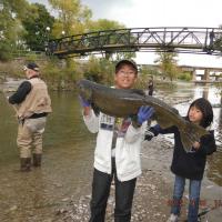 40-pound Salmon