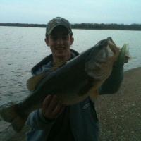 Monster Bass