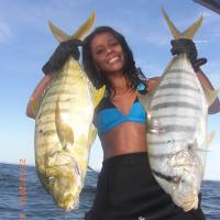 Double Golden Trevally