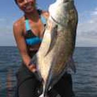 Nice Blue Trevally in Panama