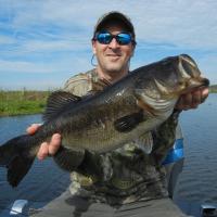 Nice Florida Bass