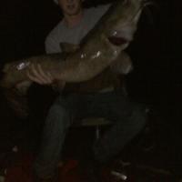 52-pound Flathead