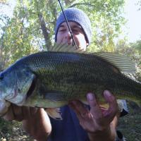 Topwater Largemouth