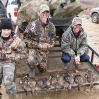 Ducks