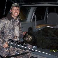 Black Bear