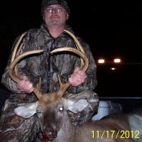 South Carolina Deer