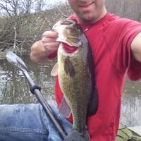 Little York Lake NY