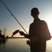 Monster Catch