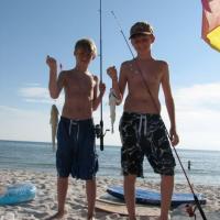 Fish