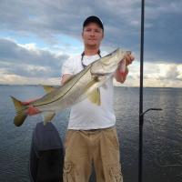 38-inch Snook