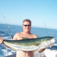 Yellow Tail