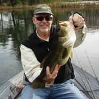 Big Bass