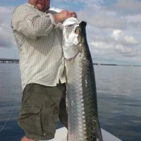 Tarpon FL Keys 2012