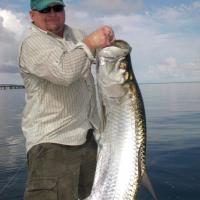 Tarpon- Montana fisherman