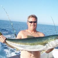 Yellow Tail