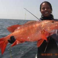 Silk Pargo