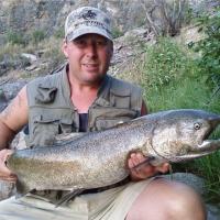Salmon