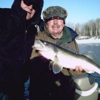 Rainy River, Minnesota Walleye