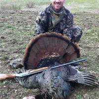 22.5 lbs Missouri Gobbler