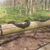Just Sunning On The Fence