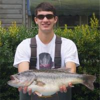 11.5 lb