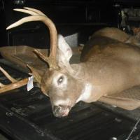 2012 NY State
