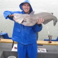 45-pound Ohio River Bluecat