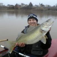 2013 Spring Pre Spawn Walleye From Lake Superior