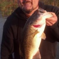 MID MARCH BUCKETMOUTH!!
