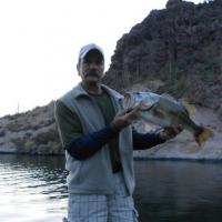 7.5 pounds Largemouth