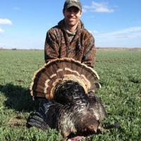 Northern Kansas Spring Turkey