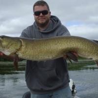 Nice Norhtern Wisconsin Muskie