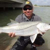 South Texas Snook