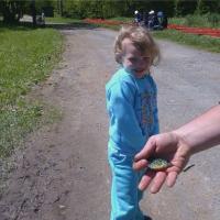 Kendall's sunfish 5-27-13
