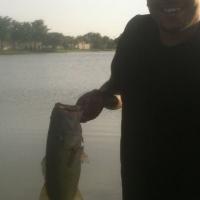 Backyard Bass!