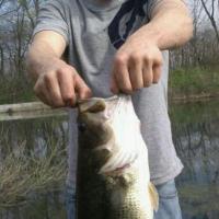 Largemouth Bass