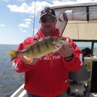 Giant Lake Of The Woods Minnesota Perch