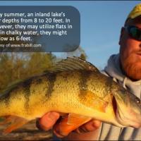 Brian Brosdahl With Perch Tips