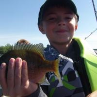 Panfishing