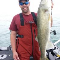 Lake Erie Walleye