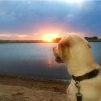 Enjoying a Kansas Sunset