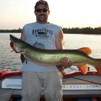 Nice Northern Wisconsin Muskie