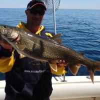 Lake Trout on Lake Superior