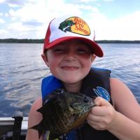 Nice Blue Gill Caught on Berkley Gulp Alive Maggots
