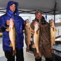 Walleyes from the 2013 NWT in Sturgeon Bay
